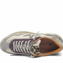 CETTI SHOES SCARPETTA TENNIS DECORAZIONE ANIMALIER STELLA